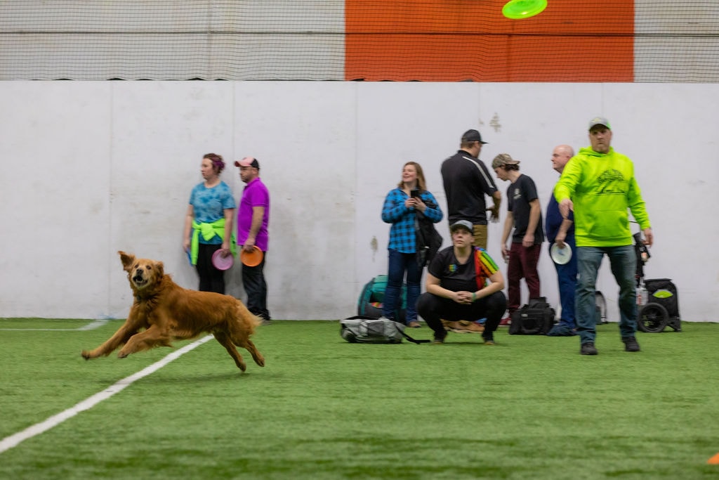 Indoor sports facility during IDGX event